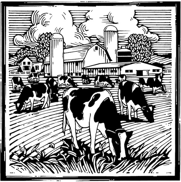 WMMB Dairy Farm Drawing