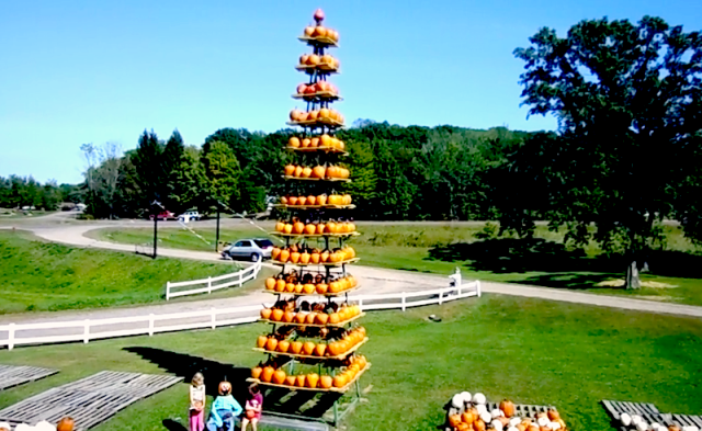 Pumpkin Patch Rice Lake