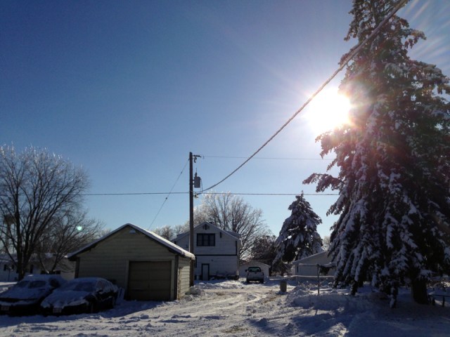 Snow On Trees LD Sun