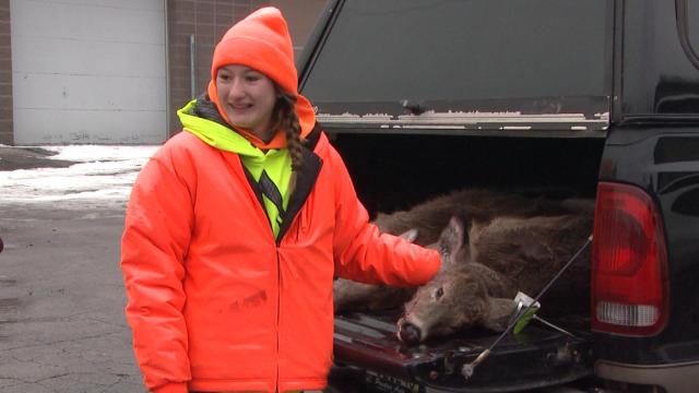 Featured Image -- 4390